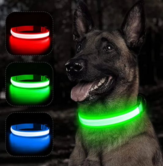   Hundehalsband LED leuchtend 